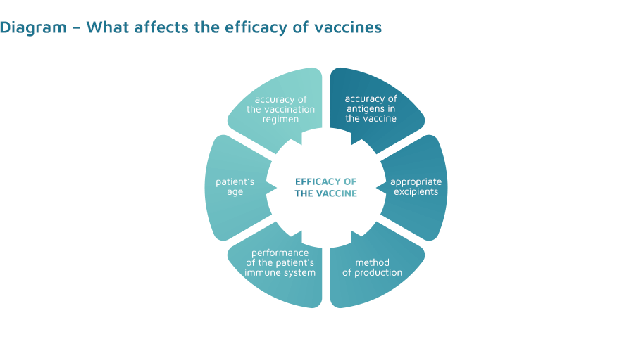 Diagram - What affects the efficacy of vaccines 